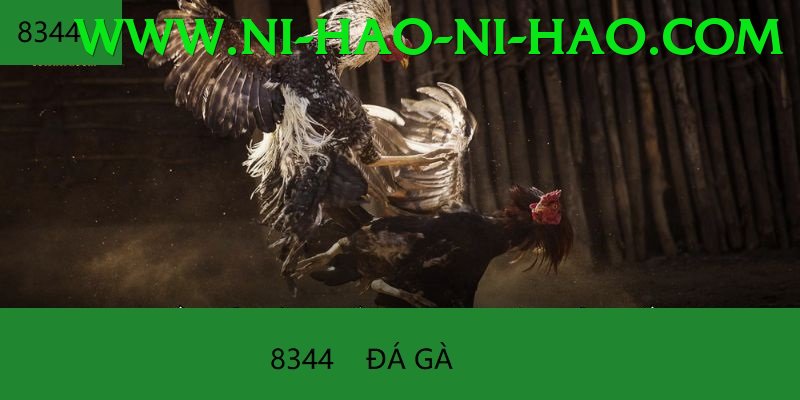 Đá Gà Trực Tiếp - For88vn