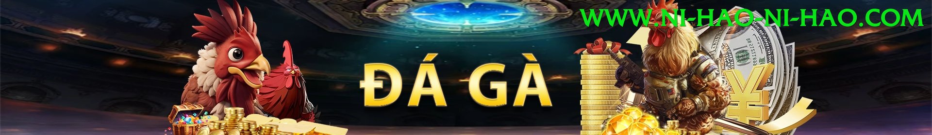 Đá Gà Trực Tiếp - Trải nghiệm tuyệt vời